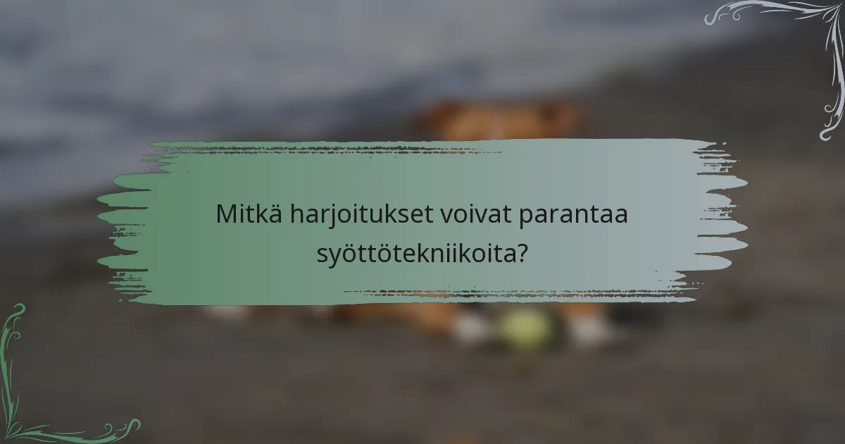 Mitkä harjoitukset voivat parantaa syöttötekniikoita?